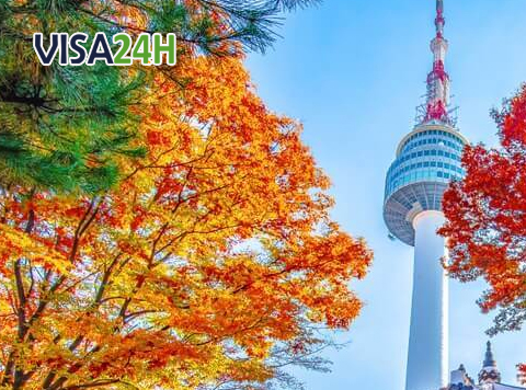 dich vụ xin visa han quoc