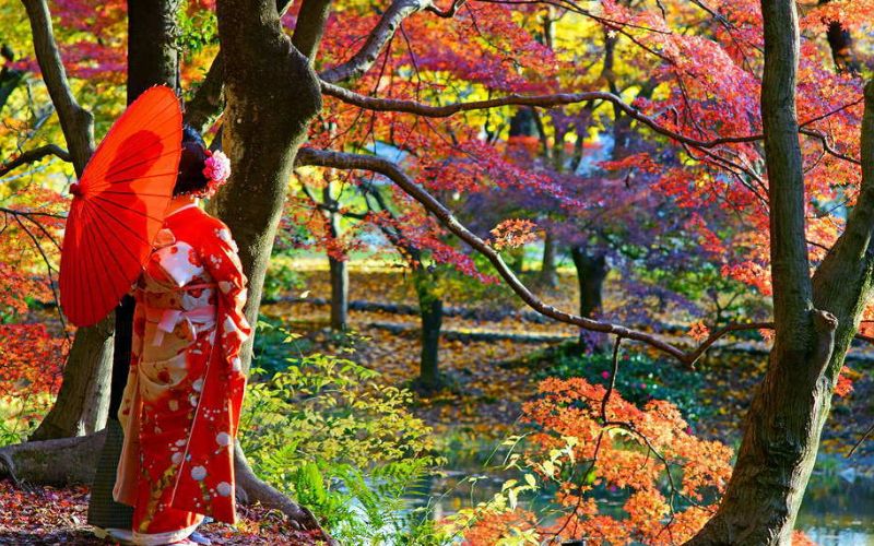 Lịch ngắm lá hoa đỏ Nhật Bản 2023