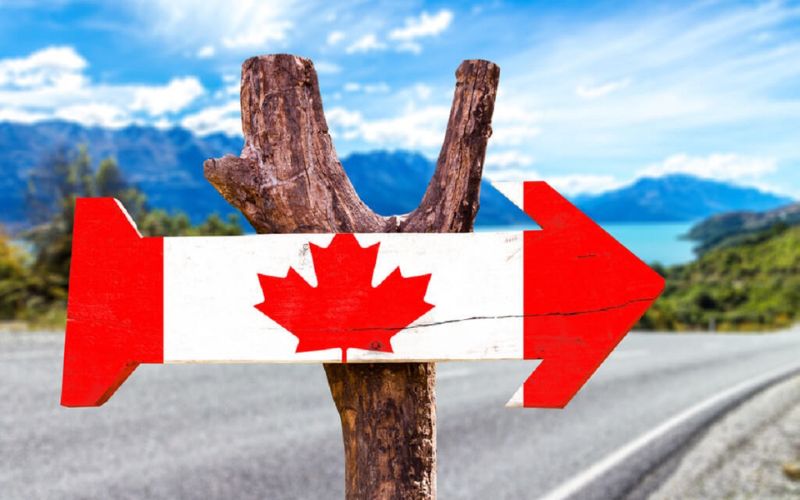 Hướng dẫn chi tiết xin visa công tác Canada